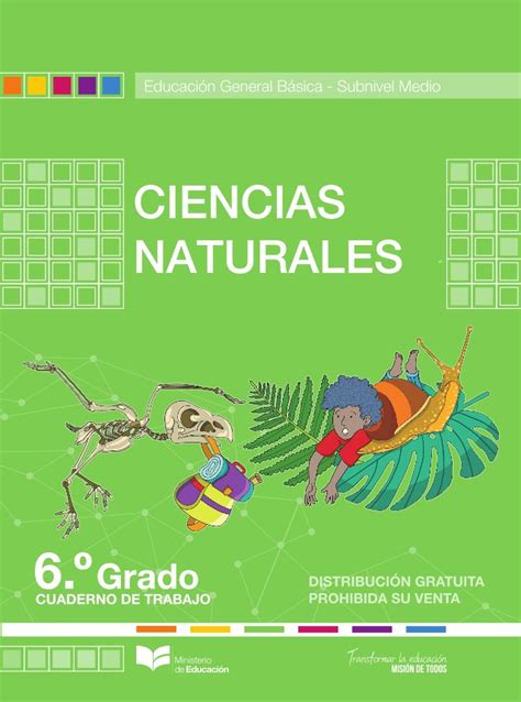 Libros de Sexto Grado (6 EGB) Descargar PDF 2024 .